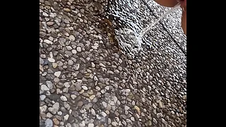 Kitty public Pee